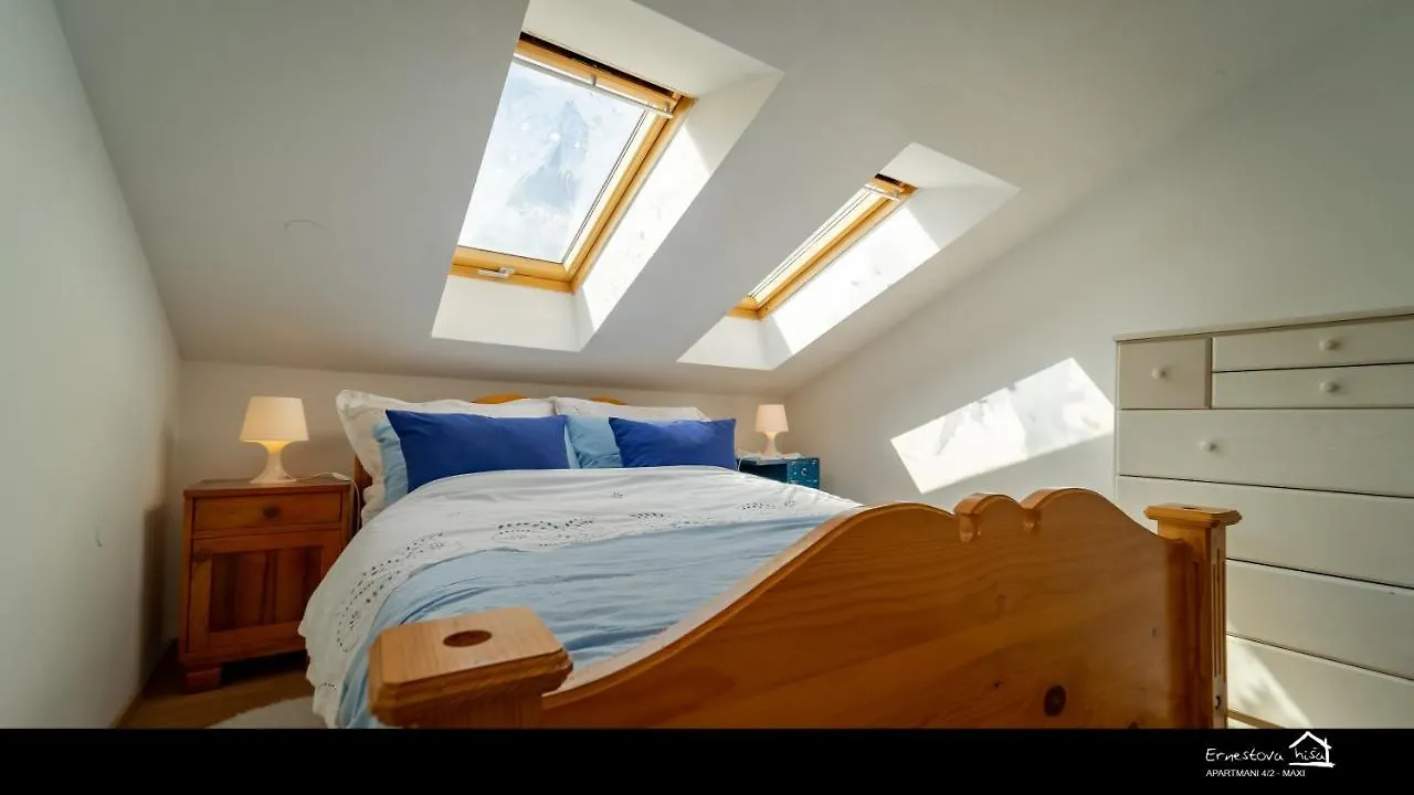 Apartment Ernestova Hisa Lokve