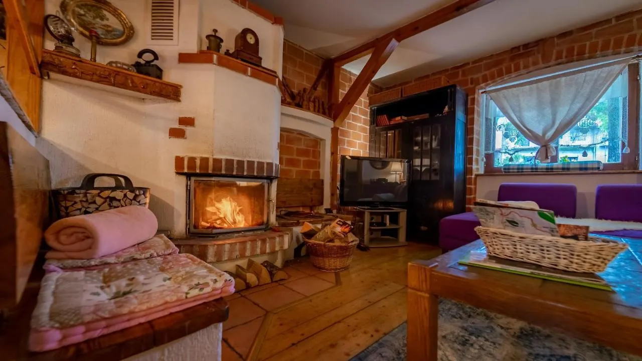 Apartment Ernestova Hisa Lokve